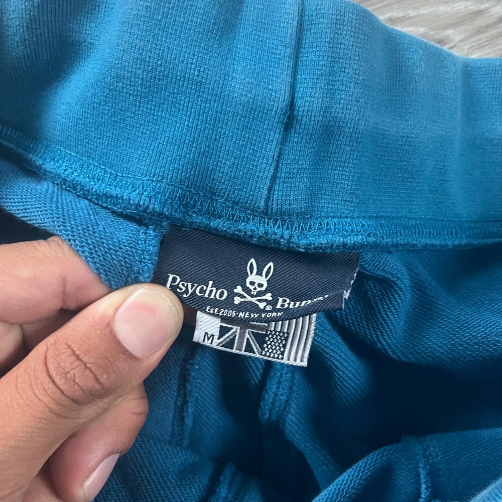Psycho Bunny Mens Teal Blue French Terry Sweat Shorts B6R161W1FT Size M - Picture 3 of 9